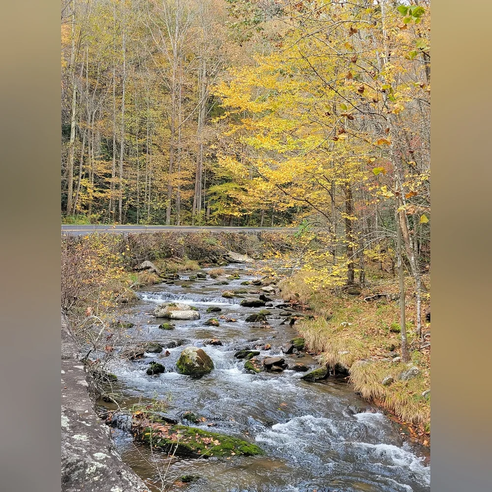 Welcome! - Picture 2 of 11